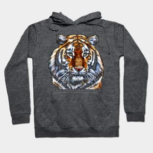 Tiger Power Hoodie